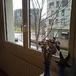 Guggenheim Centrico Y Confortable ビルバオ