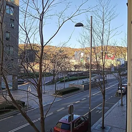 Guggenheim Centrico Y Confortable Appartement Bilbao